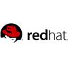 Red Hat Enterprise Linux ES Standard Edition - Standard subscription (renewal) ( 1 year ) - 1 system MCT0346RN